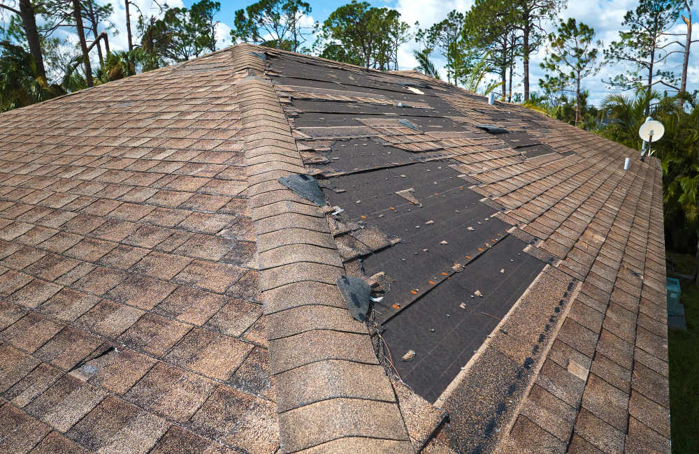 roof repair shingles missing